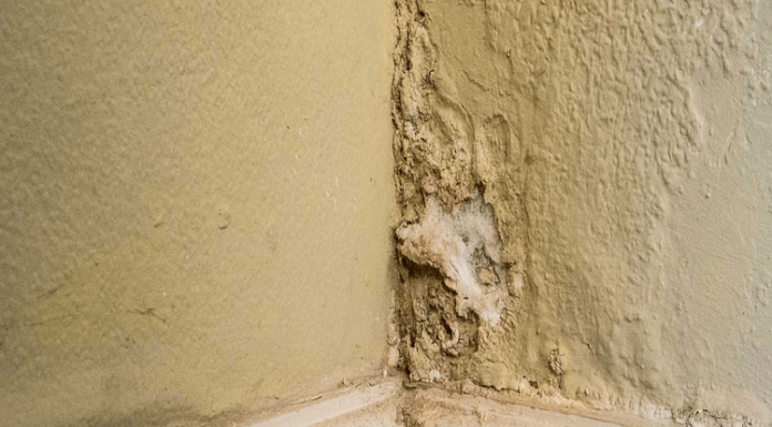 Who Can Help You with Damp in Your House? Damp