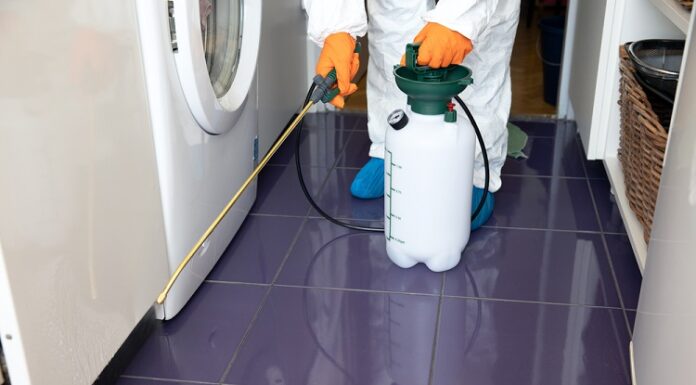 Things To Do To Keep Your Home Pest-Free Home Pest-Free