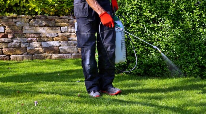Cultivating a Beautiful Garden: Mastering Effective Weed Management lawn weed control
