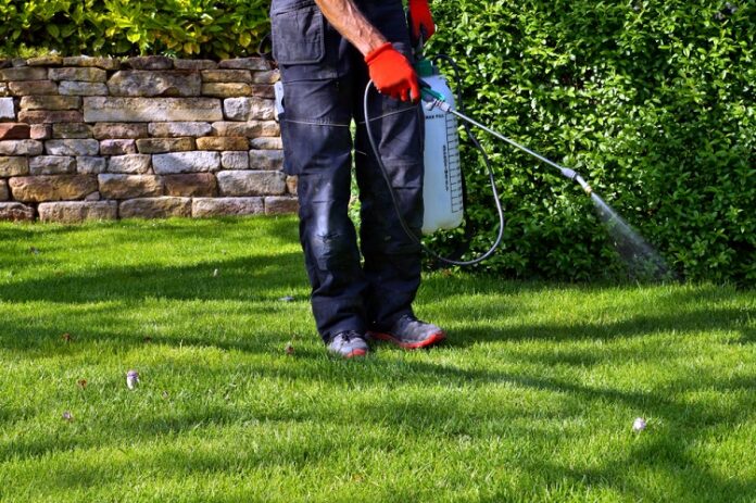 lawn weed control