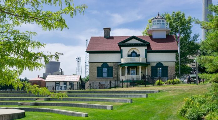 The Art of Lakeshore Restoration: Revitalizing Nature’s Pristine Beauty Lakeshore Restoration