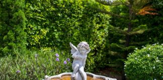 The Serenity of Statues Garden Statues