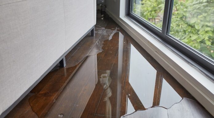 Expert Water Damage Restoration Services in Fort Worth Water Damage