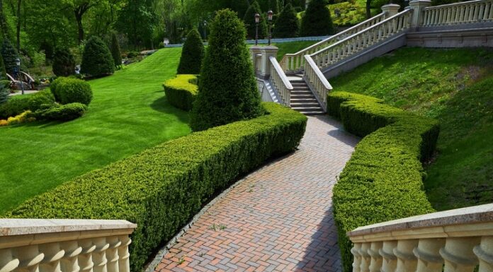 Revitalize Your Space with Expert Temple Aeration Services outdoor space