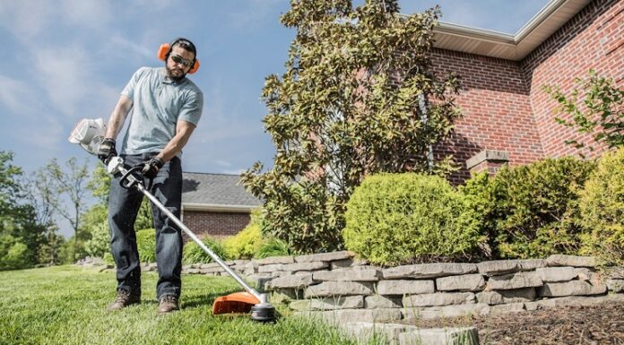 Transform Your Yard with Professional Denver Lawn Care Services Lawn Care