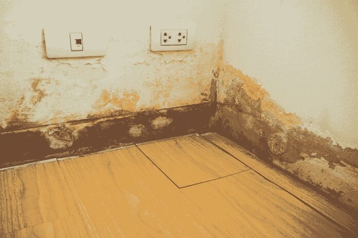 Water Damage Water Damage