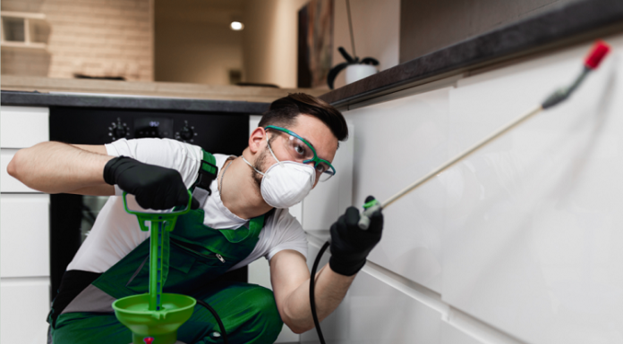 10 Reasons Pests Enter Your Workspace Pest control