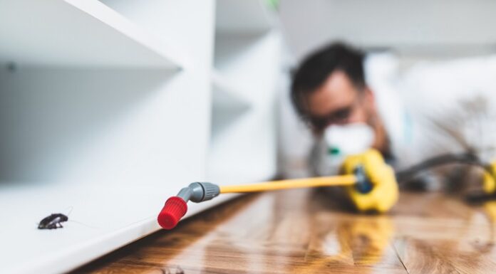 Top Reasons To Invest In Pest Control Services In Los Angeles pest control