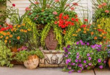 Transform Your Space: The Top Advantages Of Using Plant Containers Plant Containers