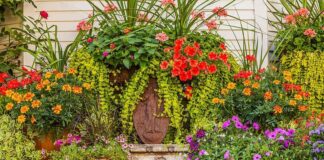 Transform Your Space: The Top Advantages Of Using Plant Containers Plant Containers