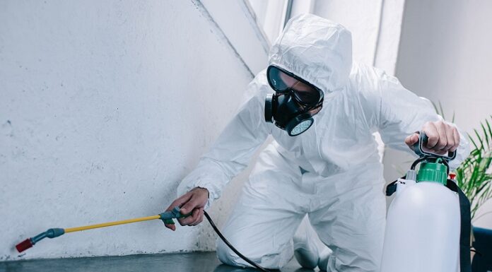 Different Pest Control Services: 4 Excellent Methods to Consider! Pest Control