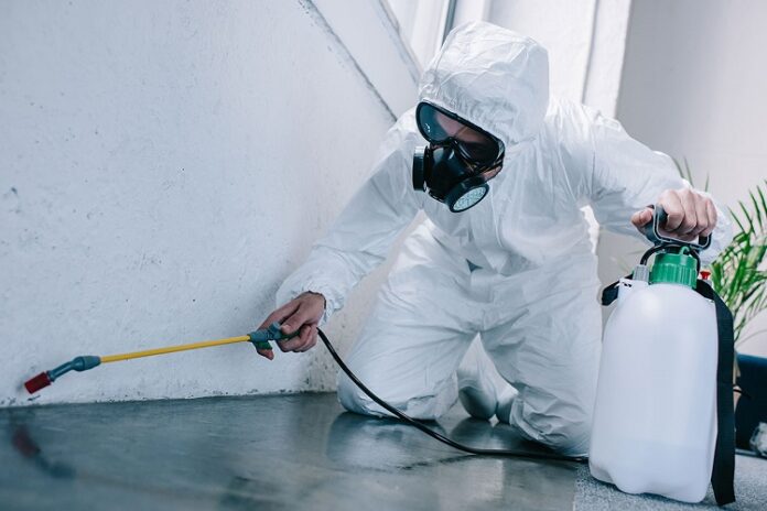 Pest Control Pest Control