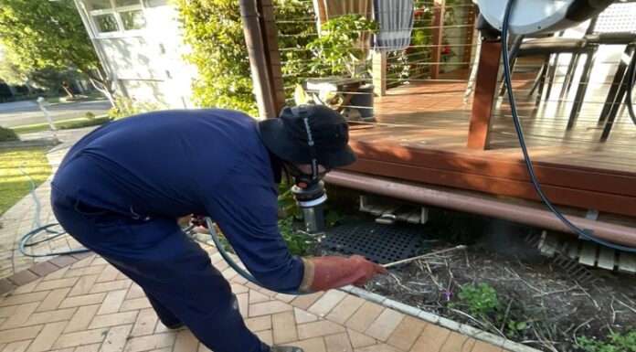 Pest-Proofing Your Garden: How to Keep Garden Pests from Invading Your Home Pest-Proofing