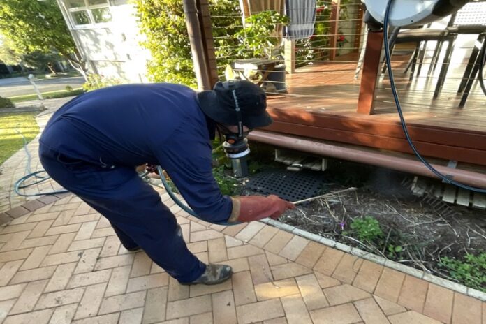 Pest-Proofing Pest-Proofing