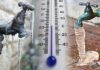 How to Prevent and Deal with Frozen Pipes Frozen Pipes