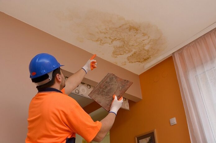Restoration Company