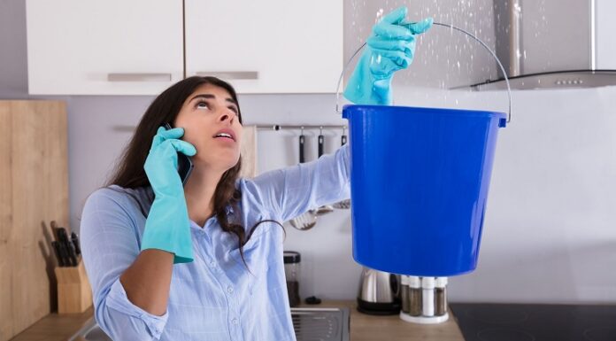 The Role Of Water Damage Contractors In Preventing Long-Term Damage Water Damage Contractors