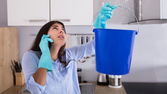 Water Damage Contractors